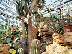 -国家植物园南园