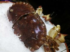 -渔傅·蓝海岸霞浦海鲜(正祥店)