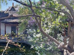 -碑林公园