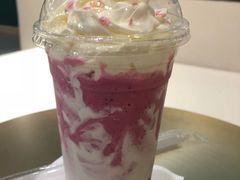 -飞行喵MR PILOT|猫舍·猫咖(静安大融城店)