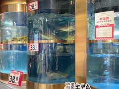 -蜀滋香鲜鱼美蛙火锅(339店)