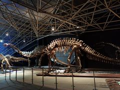 -世界恐龙谷景区