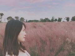 -花博汇(知音花月夜)