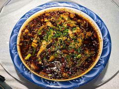 来凤鱼-新概念来凤鱼(璧山店)