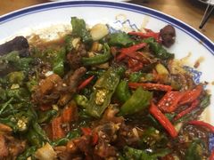 -食鸡公社辣子鸡·潍坊菜·烧烤