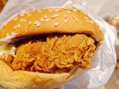 -麦当劳(新洲南路店)