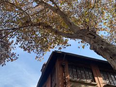 -飞马旅黎黄陂路文旅街区