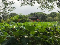 -丝绸小镇荻港古村