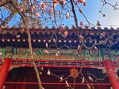 -潭柘寺景区