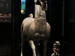 -广西壮族自治区博物馆