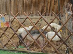 -HERRE·FARM 赫尔露营农场·团建聚会包场