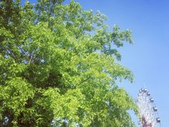 -兰陵国家农业公园