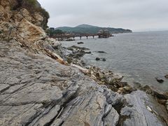 -养马岛旅游度假区