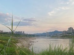 -金海湾滨江公园