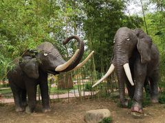 -揭东万竹园旅游景区