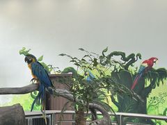 -无锡动物园·太湖欢乐园