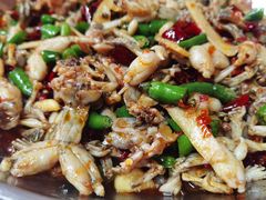 子姜蛙-呱呱兔庄