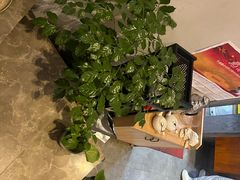 -悠悠美食