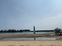-东郊椰林