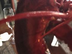 -斯普汇生蚝牛排馆(中骏世界城店)