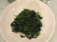 -沪碟·精菜坊(闵行店)