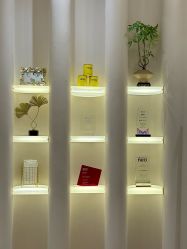 -Fundi张玉珊修身堂·indiba·BTL科技瘦身