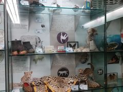 -纽瓦克自由国际机场