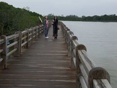 -东寨港红树林旅游区