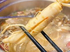 -千岛蚝高压锅生蚝·人参火锅(白云万达店)