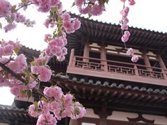 -西安青龙寺遗址景区