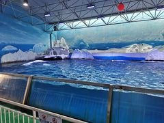 -秦皇岛乐岛海洋王国