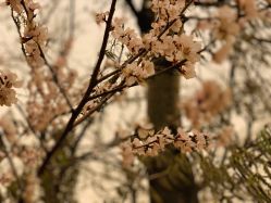 -北京七彩云南翡翠珠宝旗舰店(月坛店)