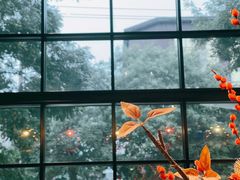 -德记牛肉社潮汕鲜切牛肉火锅(中心路店)