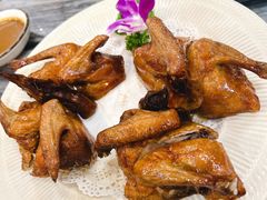 -鸽鸟轩(石岐店)