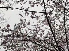 -安妮意大利餐厅(国贸店)