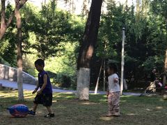 -长白岛森林公园