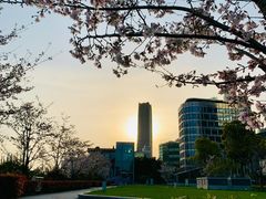 -北外滩滨江绿地