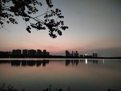 -顺峰山公园