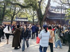 -普陀山慧济禅寺