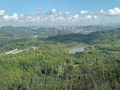 -深圳仙湖植物园