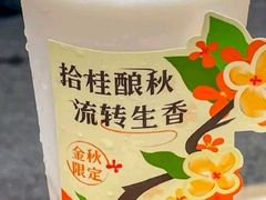 桂花龙眼椰-古茗(惠来南门大街店)