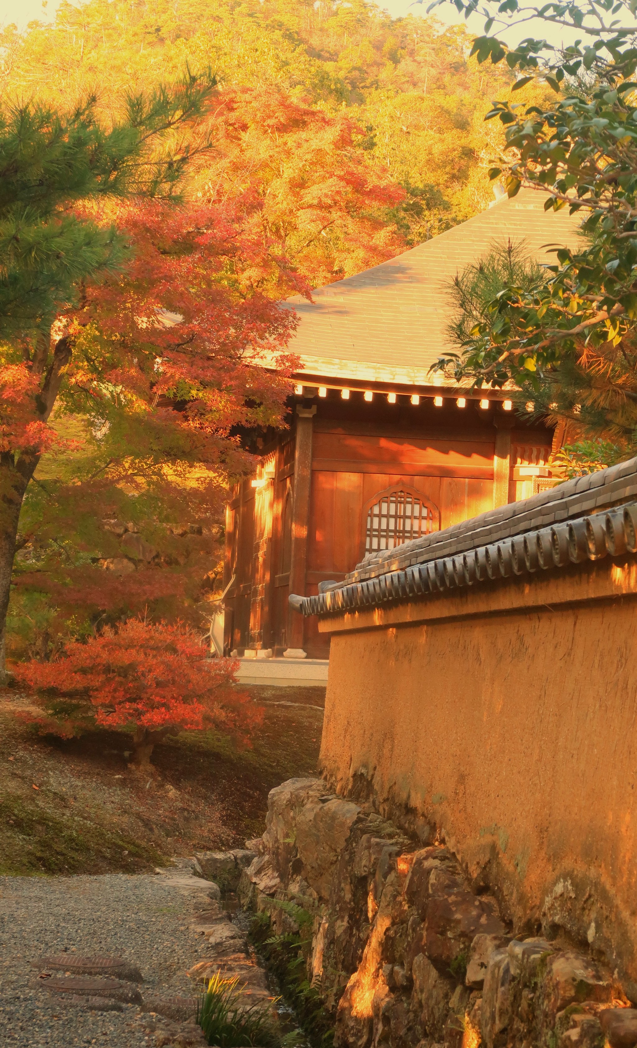 日本京都金阁寺