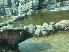 -北京野生动物园