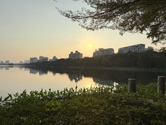 -南宁南湖公园