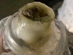 全家福年糕团-上海虹口糕团食品厂(欣兴店)