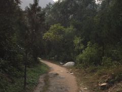 -碓臼峪自然风景区