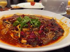 -映水芙蓉(上海万象城店)