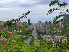 -板樟山森林公园