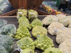 -果蔬好生活超市(乐堤港店)
