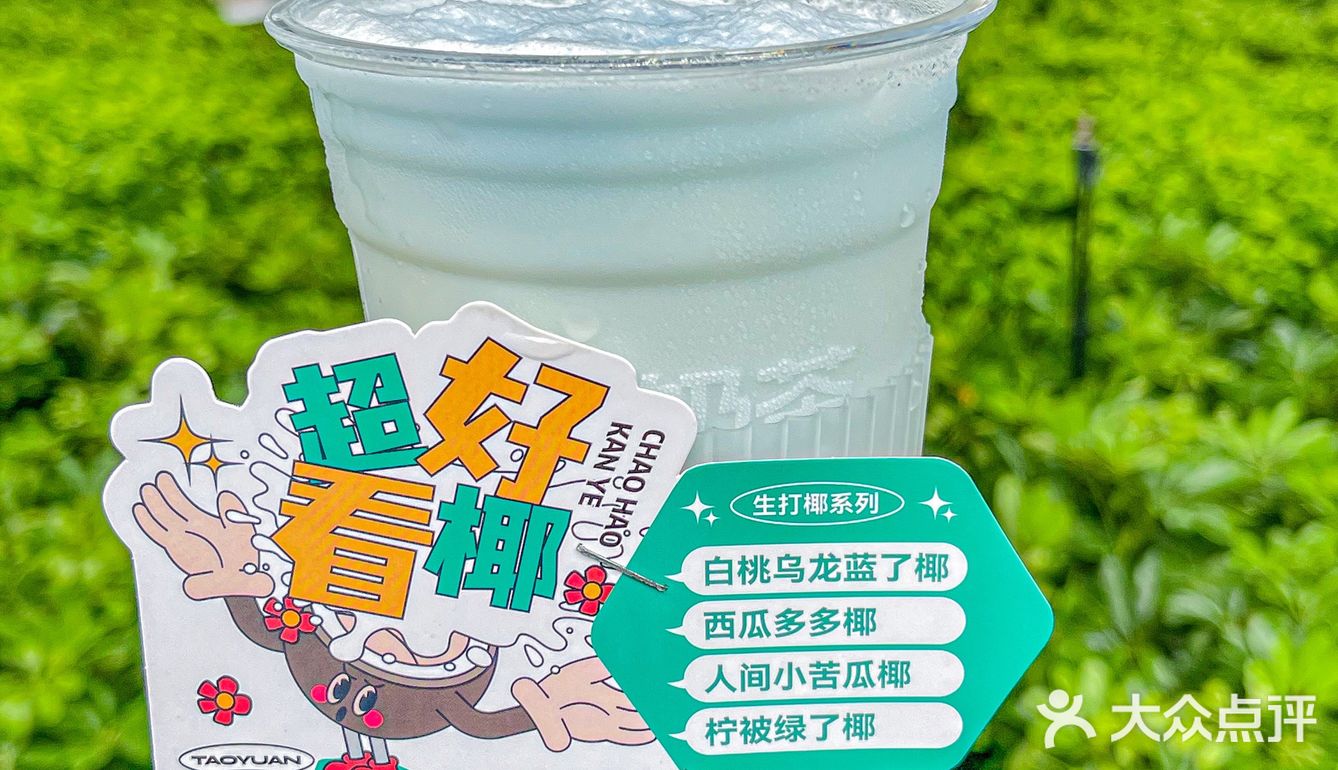 家人们❗桃园三章的初夏👒新品真的超好看椰🥥